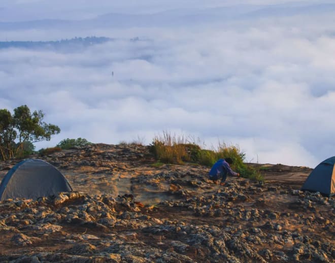 Wayanad Camping Image