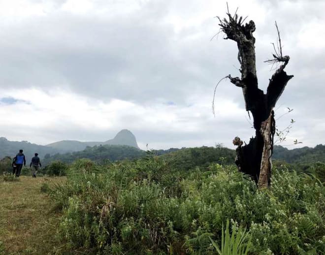 Sakleshpur Ombattu Gudda Trek Image