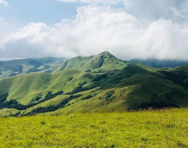 Sakleshpur Ombattu Gudda Trek Image