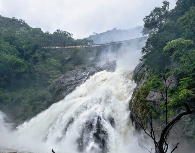 Dudhsagar Waterfall Trek Image