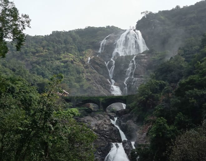 Dudhsagar Waterfall Trek Image