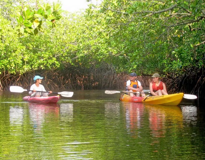 Kayaking in Andaman Image