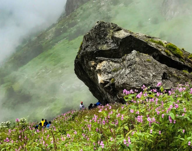 Valley of Flowers Trek with Hemkund Sahib Image