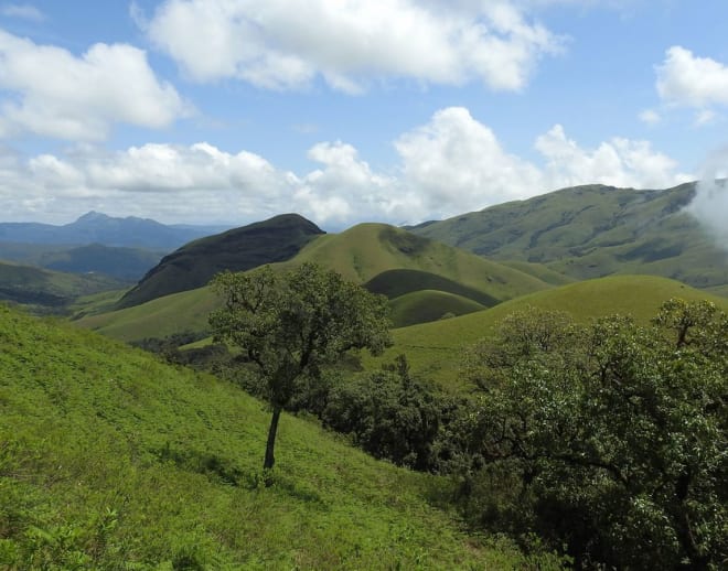 Kodachadri Trek Image