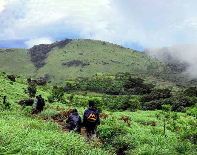 Tadiandamol Trek: Go wild this weekend Image