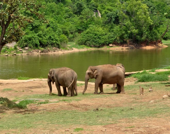 Bannerghatta National Park Tour jalpaiguri Image