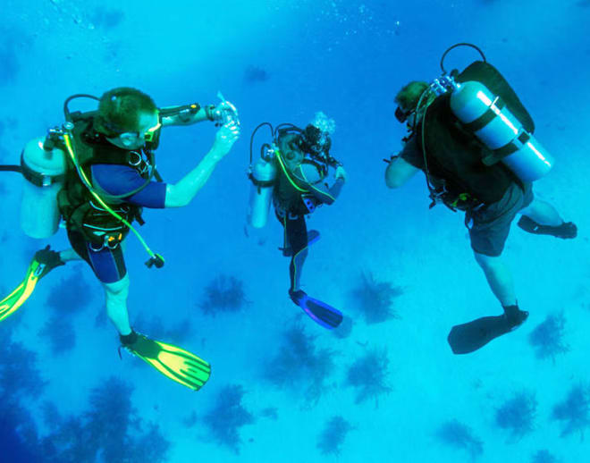 Scuba Diving In Trivandrum Image