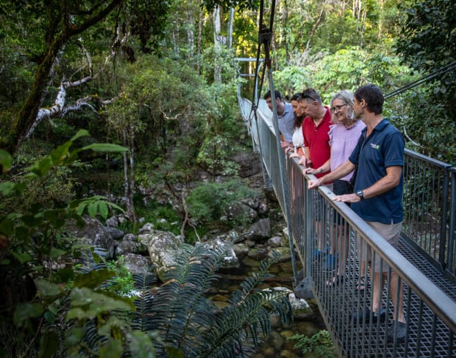Daintree Rainforest Tour Image