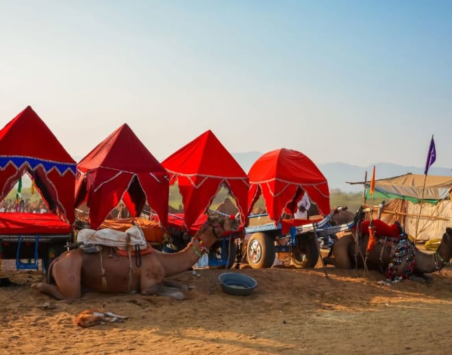 Tour of Goldentriangle with pushkar Image