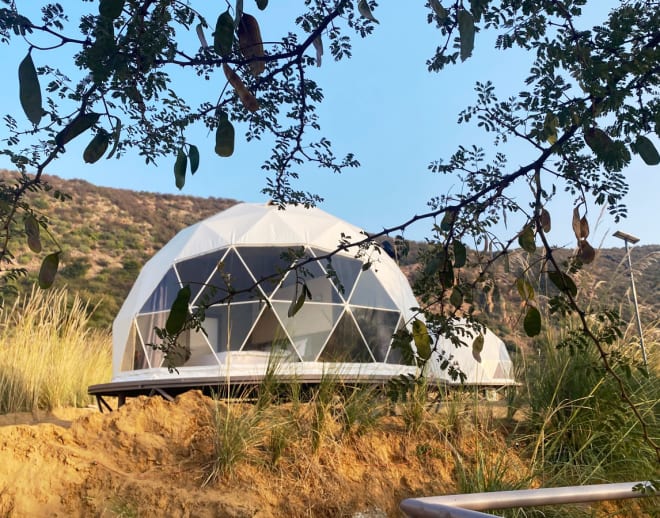 Teela, The Glamping Resort, Jaipur Image