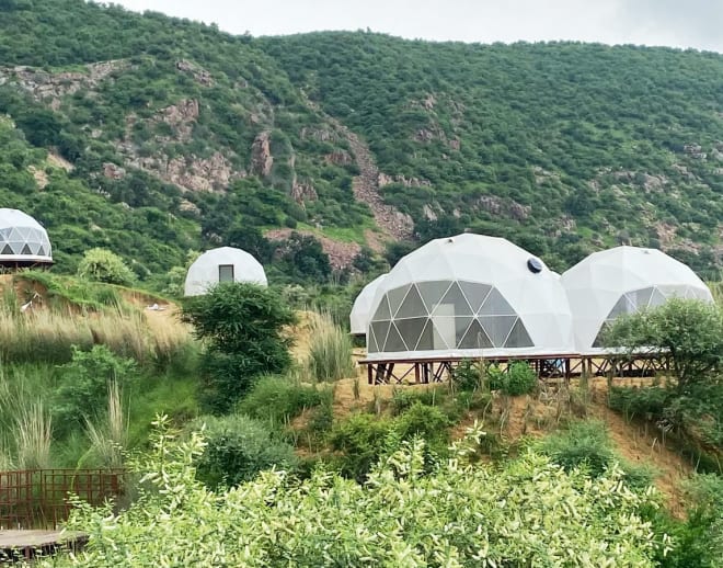 Teela, The Glamping Resort, Jaipur Image