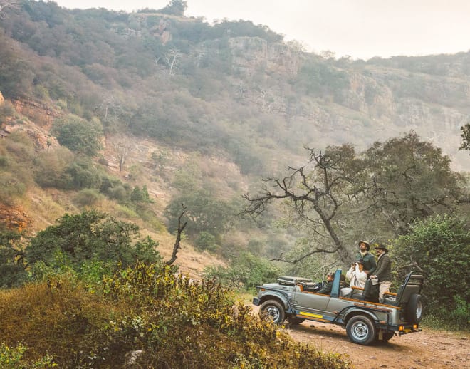 Ranthambore Tiger Safari From Jaipur by Car Image