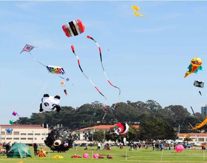 International Desert Kite Festival Jodhpur Image