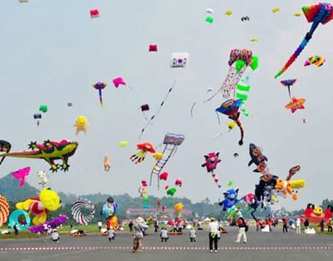 International Desert Kite Festival Jodhpur Image