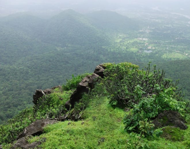 Trek to Tungareshwar Image