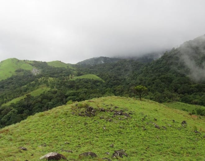 Pushpagiri Trek Of Coorg Image