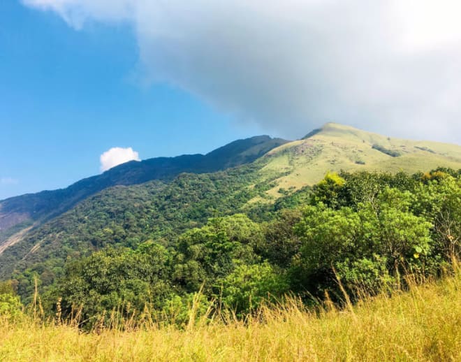 Pushpagiri Trek Of Coorg Image