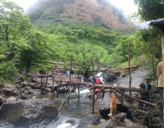 Devkund Waterfall Trek from Mumbai Image