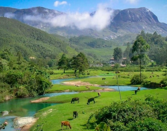 Anamudi Peak Image