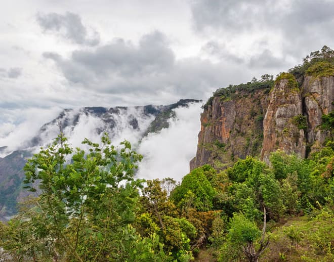 Guided Trek To Pillar Rocks Kodaikanal Image