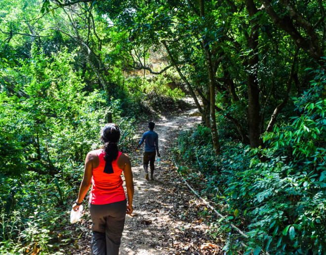 Guided Trek To Pillar Rocks Kodaikanal Image