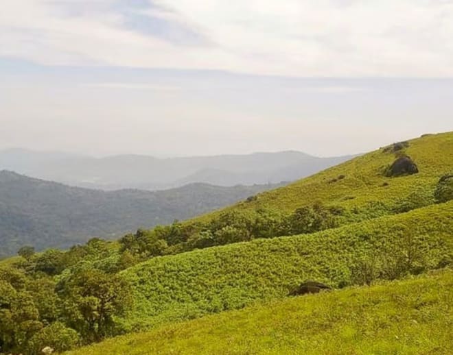 Brahmagiri Trek, Wayanada Image