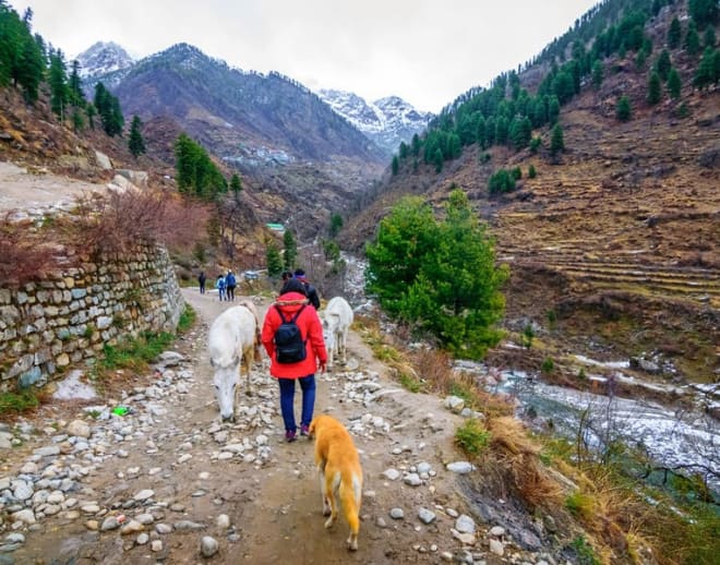 Kheerganga Trek from Manikaran Image