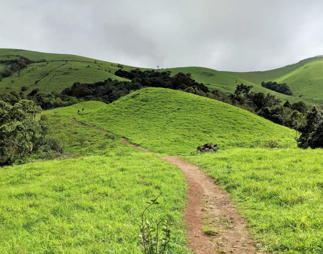 Kodachadri Trek from Bangalore Image