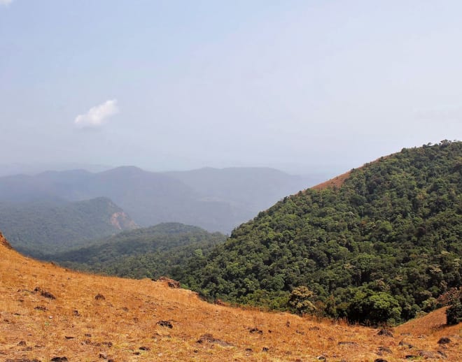 Kodachadri Trek from Kollur Image