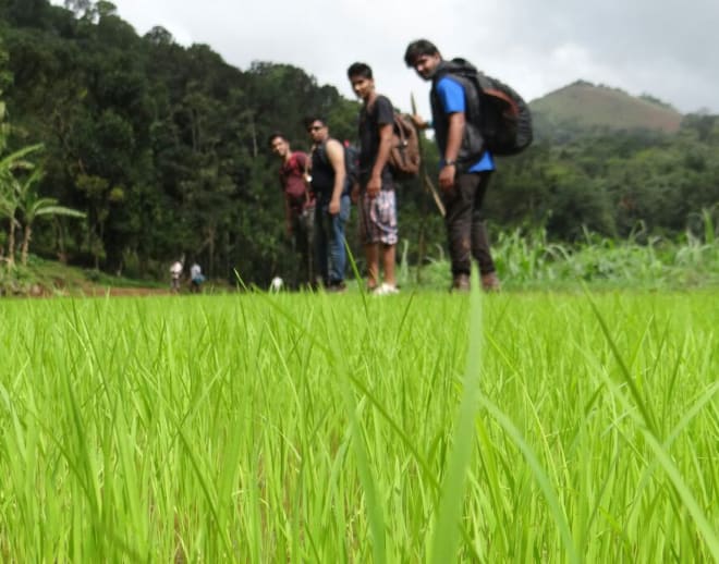 Kodachadri Trek from Hubli Image