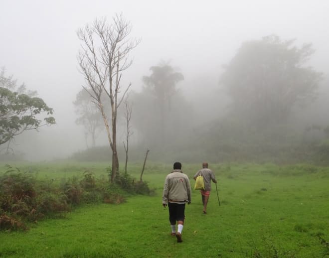 Kudremukh Trek in Monsoon Image