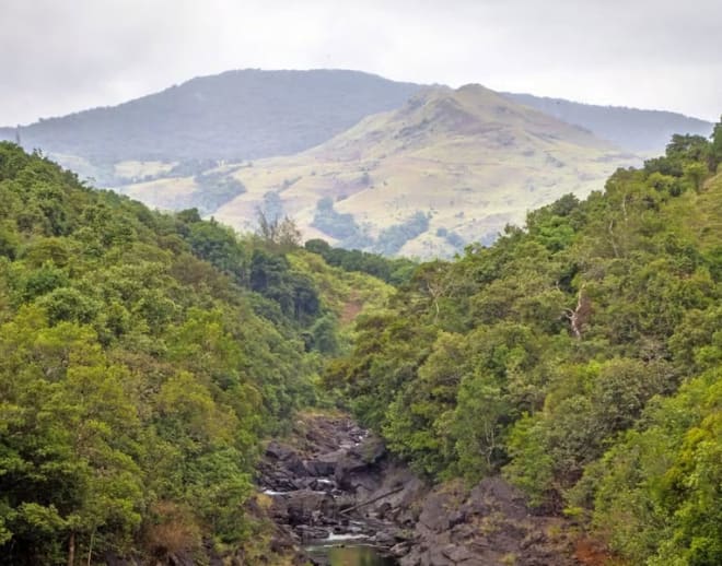 Kudremukh Trek - New Year Special Image