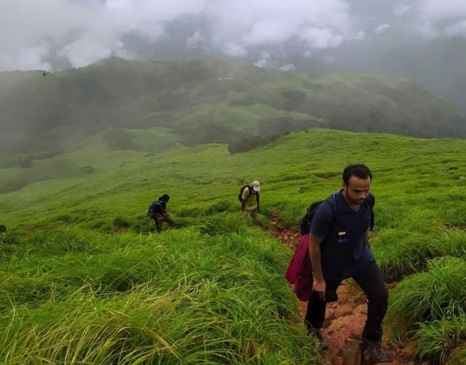 Kumara Parvatha Trek, Coorg Image