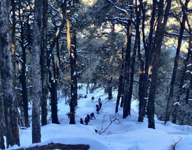 Nag Tibba Weekend Trek Image