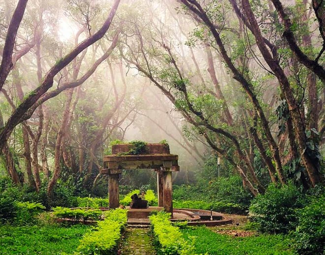 Nandi Hills Trek Image