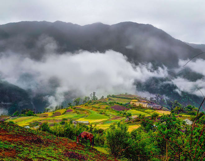 Ali Bedni Bugyal Trek in Winter ( October To December) Image