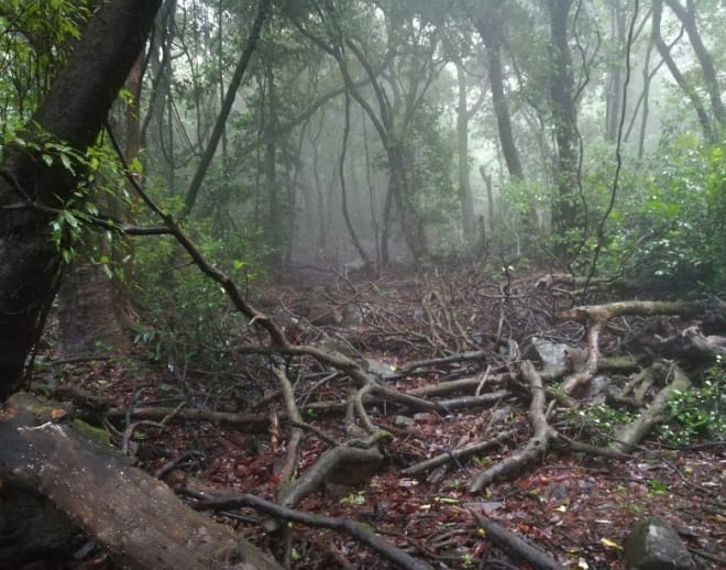 Andharban Night Trek Image