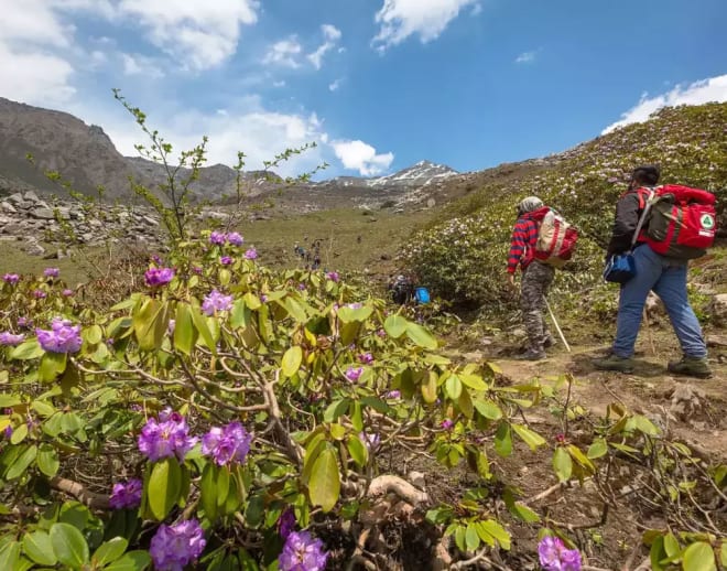 Valley of Flowers Trek from Dehradun Image