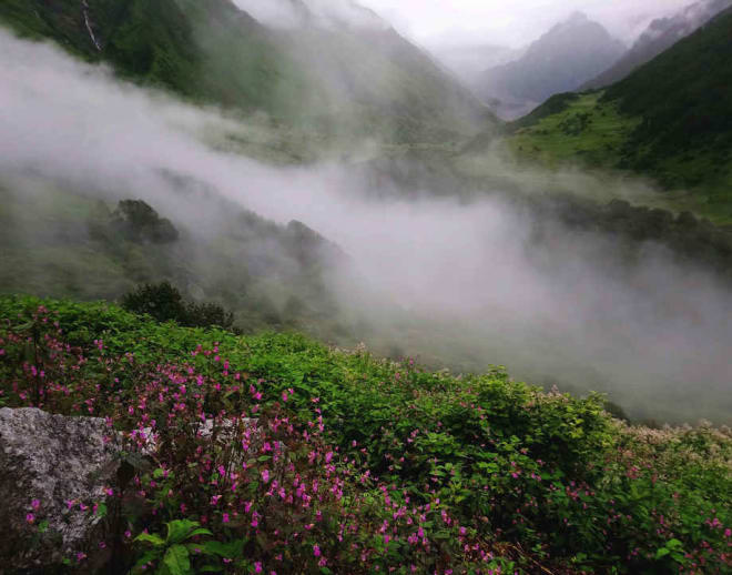 Valley of Flowers Luxury Trek Image