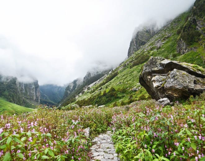 Valley of Flowers Luxury Trek Image