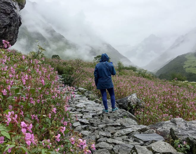 Valley of Flowers Luxury Trek Image