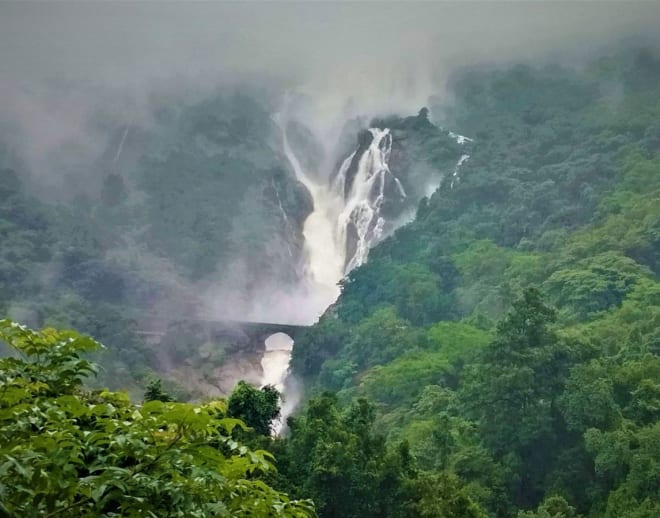 Dudhsagar Waterfall Trek from Pune Image