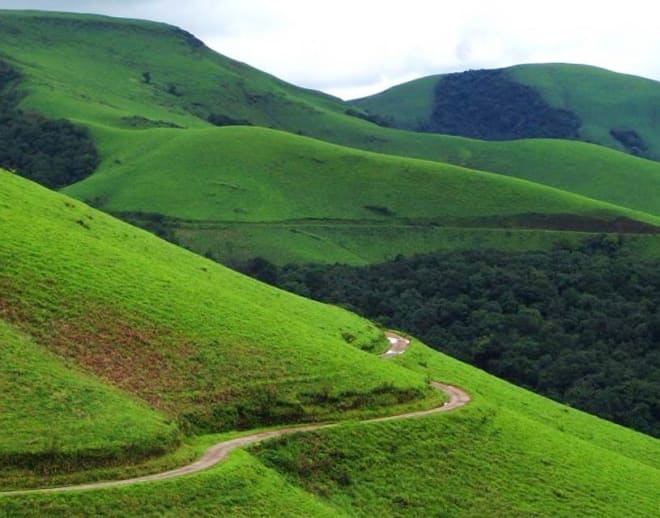Chikmagalur Sightseeing Full-Day Tour Image