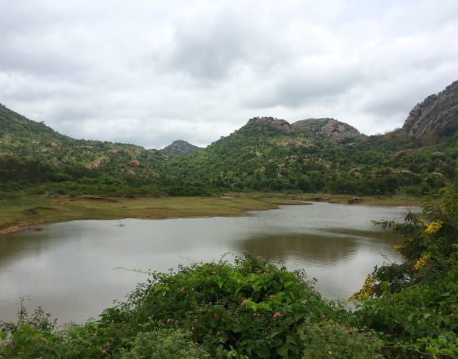 Bananthimari Betta Trek From Bangalore Image