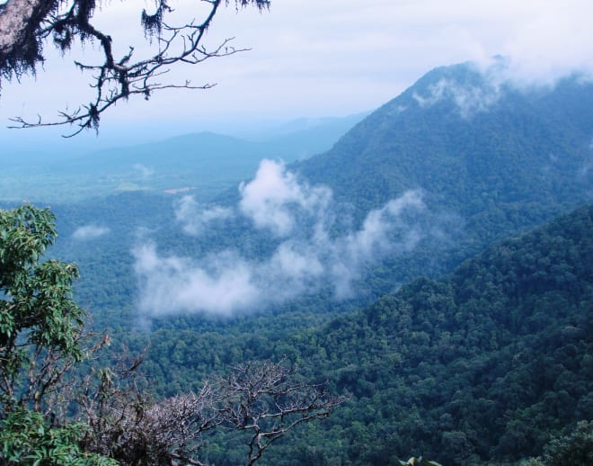 Agumbe Trek From Bangalore Image