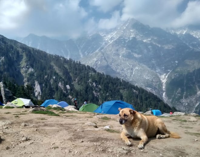 Triund Trek from Delhi Image