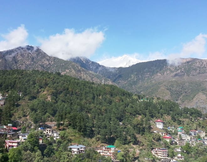 Mcleodganj to Triund Trek Package Image