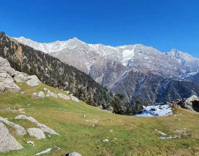 Snow Line Trek with Triund, Mcleodganj Image