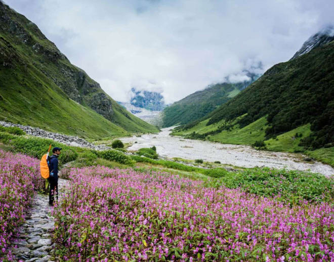 Valley of Flowers Trek from Delhi Image