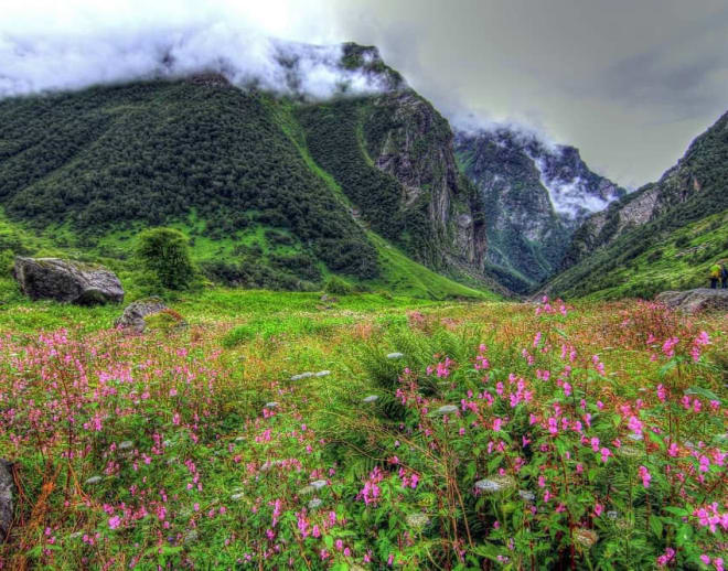 Valley of Flowers Trek from Delhi Image